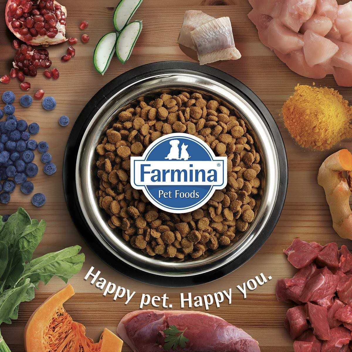 Chicken & Pomegranate Kitten Dry Cat Food E452957