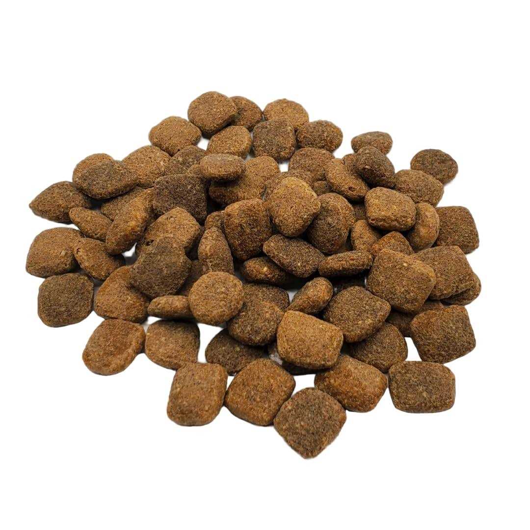 Chicken & Turkey Dry Dog Food E464999